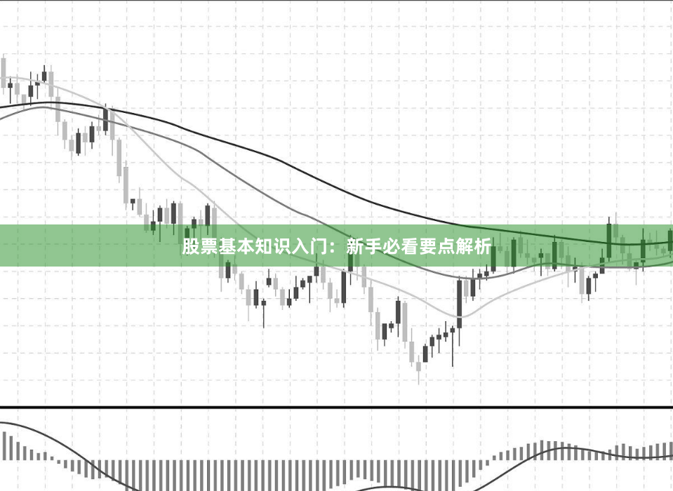 股票基本知识入门:新手必看要点解析