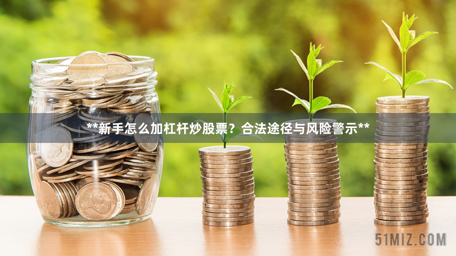 **新手怎么加杠杆炒股票？合法途径与风险警示**