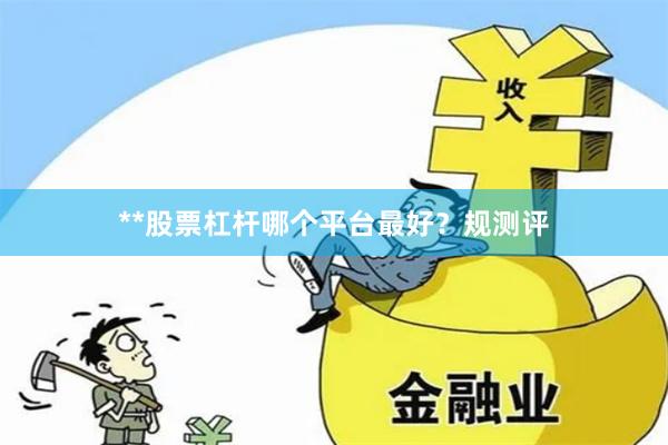 **股票杠杆哪个平台最好？规测评